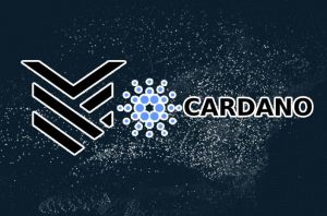 استیک کاردانو Cardano (ADA) چگونه است؛ معرفی ابزارهای ذخیره کاردانو