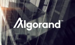 ارز دیجیتال الگورند Algorand چیست؟