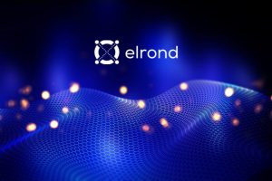 شبکه الروند Elrond چیست؟ با توکن ERD آشنا شوید