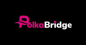 معرفی ارز دیجیتال PolkaBridge