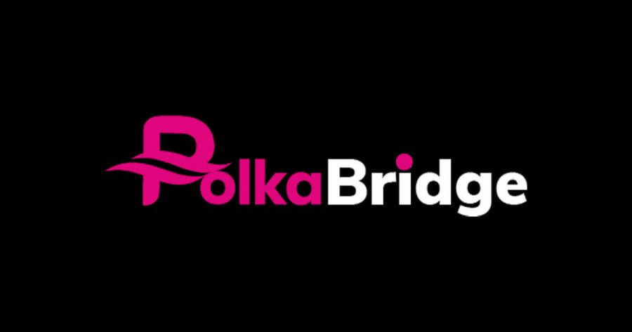 ارز دیجیتال PolkaBridge