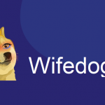 ارز دیجیتال Wifedoge