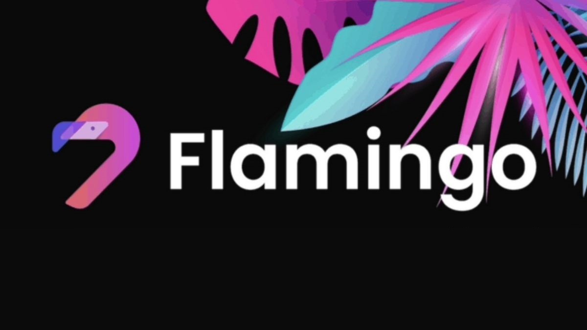 معرفی ارز دیجیتال فلامینگو (Flamingo)