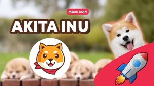 معرفی ارز دیجیتال آکیتا اینو Akita Inu (AKITA)