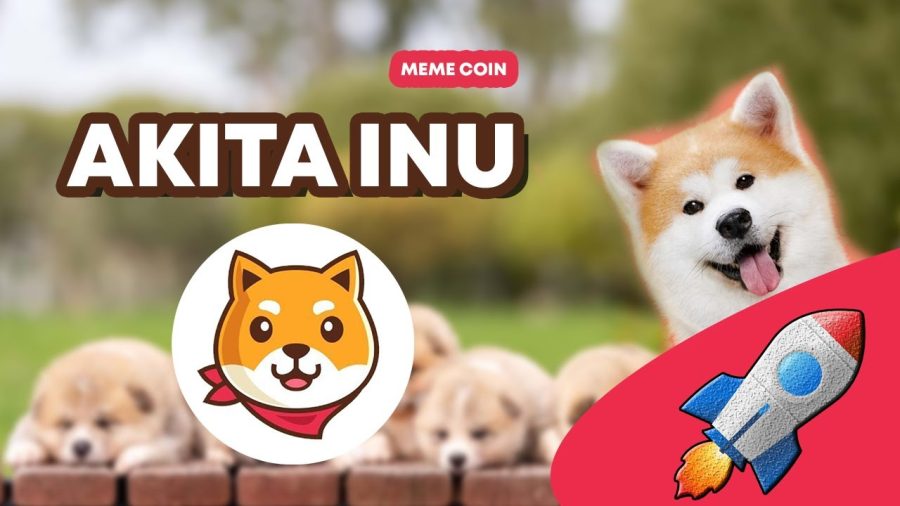 ارز دیجیتال آکیتا اینو Akita Inu