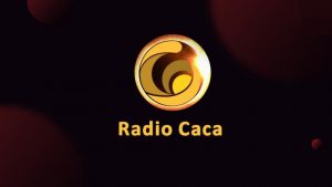 معرفی ارز دیجیتال رادیو راکا (radio caca)