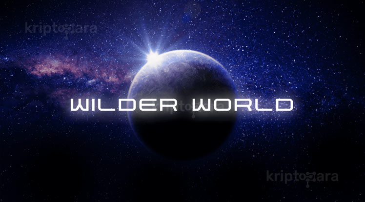 ارز دیجیتال Wilder World