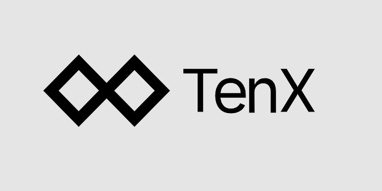 ارز دیجیتال تنکس tenx-crypto-ninjas