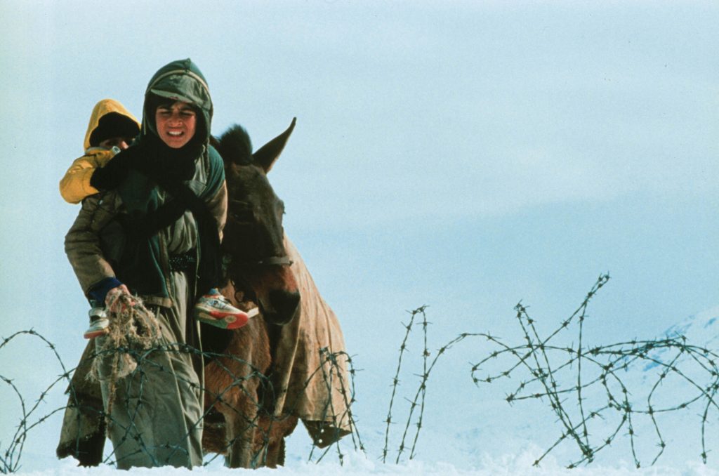 ایوب احمدی در فیلم زمانی برای مستی اسب ها