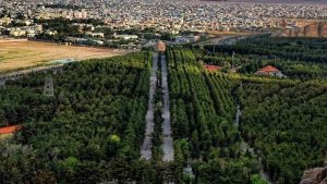 معرفی کرمان و راهنمای سفر به این منطقه | مقصدی زمستانی در دل کویر