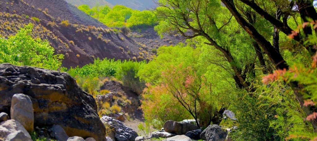 کوهپایه کرمان - روستای کوهپایه