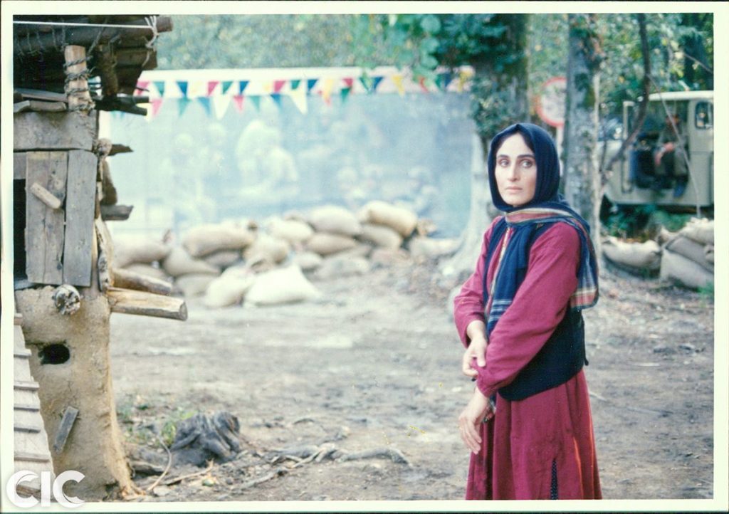 سوسن تسلیمی در فیلم باشو غریبه کوچک