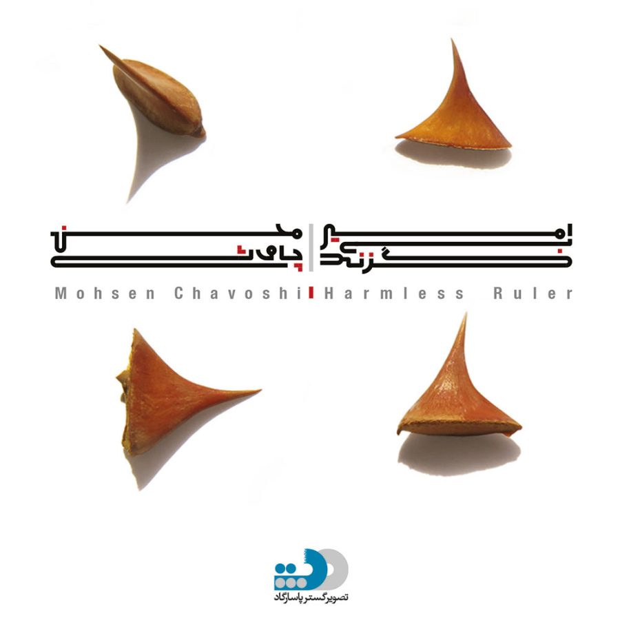 آلبوم امیر بی گزند از محسن چاوشی