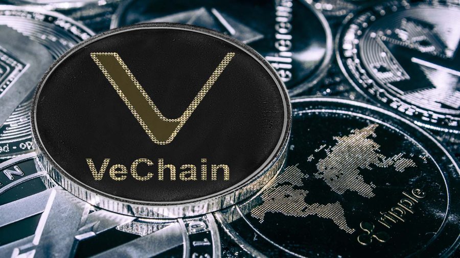 استیبل کوین VeUSD در شبکه وی‌چین