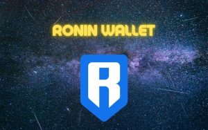 چگونه یک کیف پول Ronin برای بازی Axie Infinity بسازیم؟