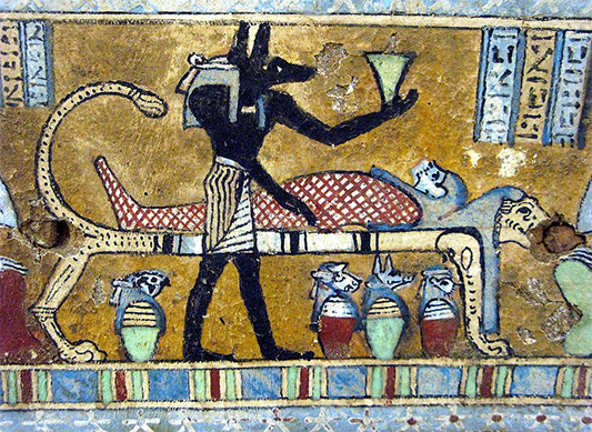 مصر باستان در پروسۀ مومیایی کردن، از این گیاه استفاده می‌کردند