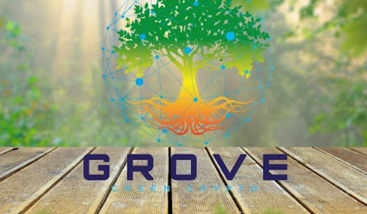 معرفی توکن گروو Grove