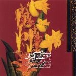 آلبوم موسیقی حماسی ایران ۴ – موسیقی آذربایجان غربی از محمدرضا درویشی