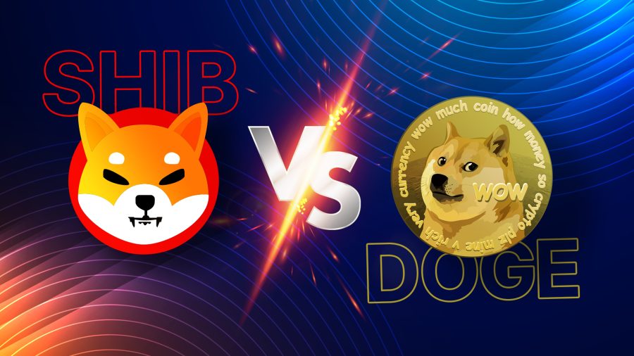 مقایسه شیبا اینو و دوج کوین shibaInu vs dogecoin