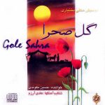 آلبوم گل صحرا از حسین مکوندی و هادی آرزم