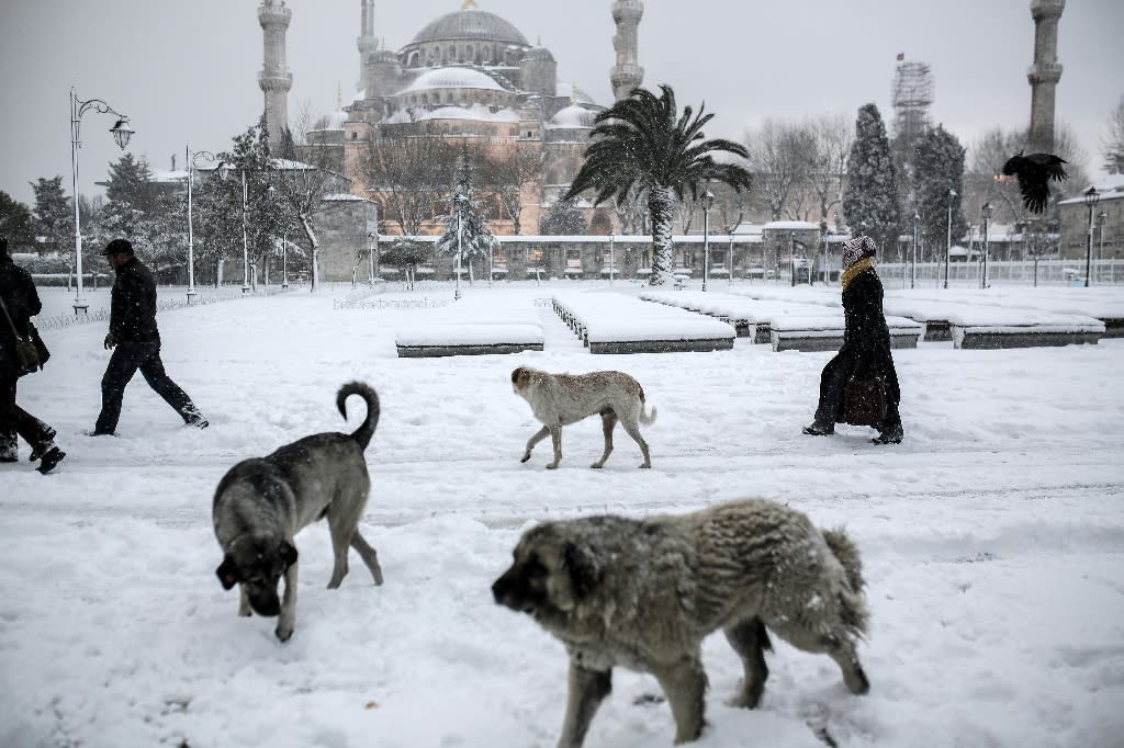 برف استانبول