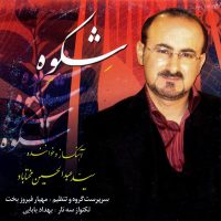 دانلود آلبوم شکوه از عبدالحسین مختاباد