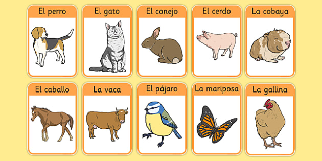 آموزش اسپانیایی به کودکان