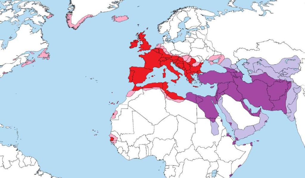 ایرانیان و رومیان در اوج قدرت