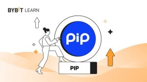 پیپ PIP چیست؟ فعال کردن پرداخت های جهانی بدون محدودیت