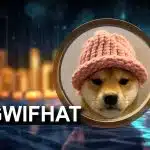 میم کوین دوج ویف هت dogwifcoin